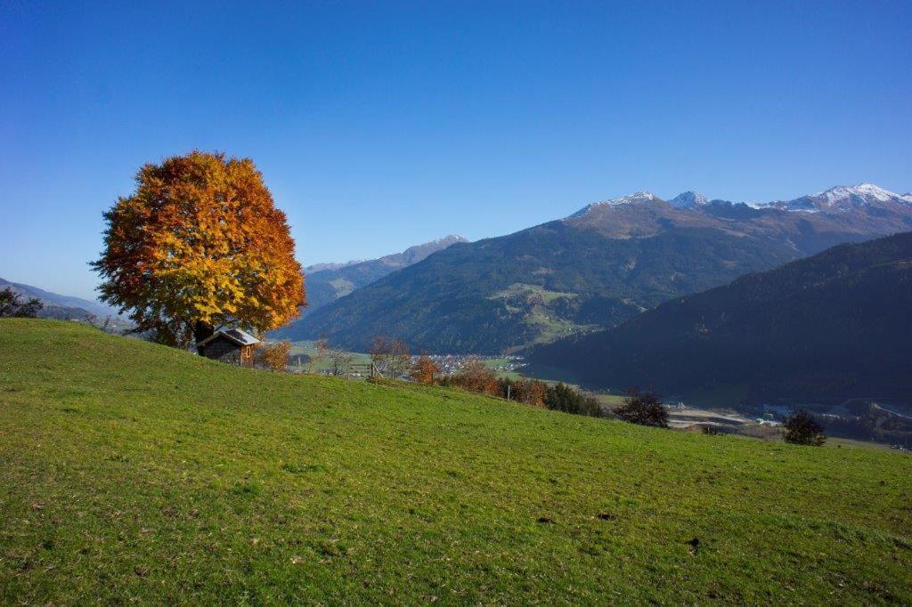 Neuhaushof Apartment Hollersbach im Pinzgau Exterior photo